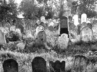 Копайгород еврейское кладбище община